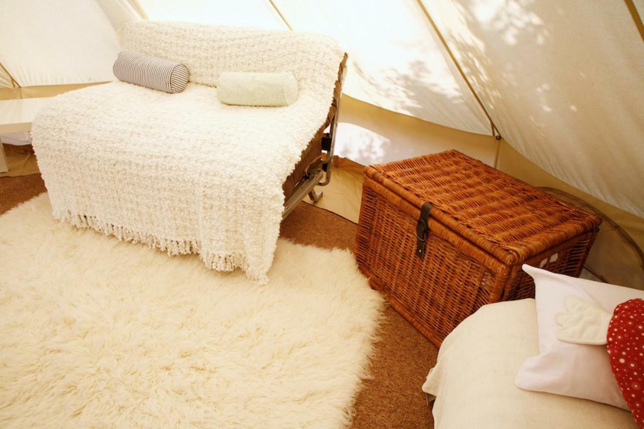Whitecliff Bay Holiday Park 本布里奇 外观 照片